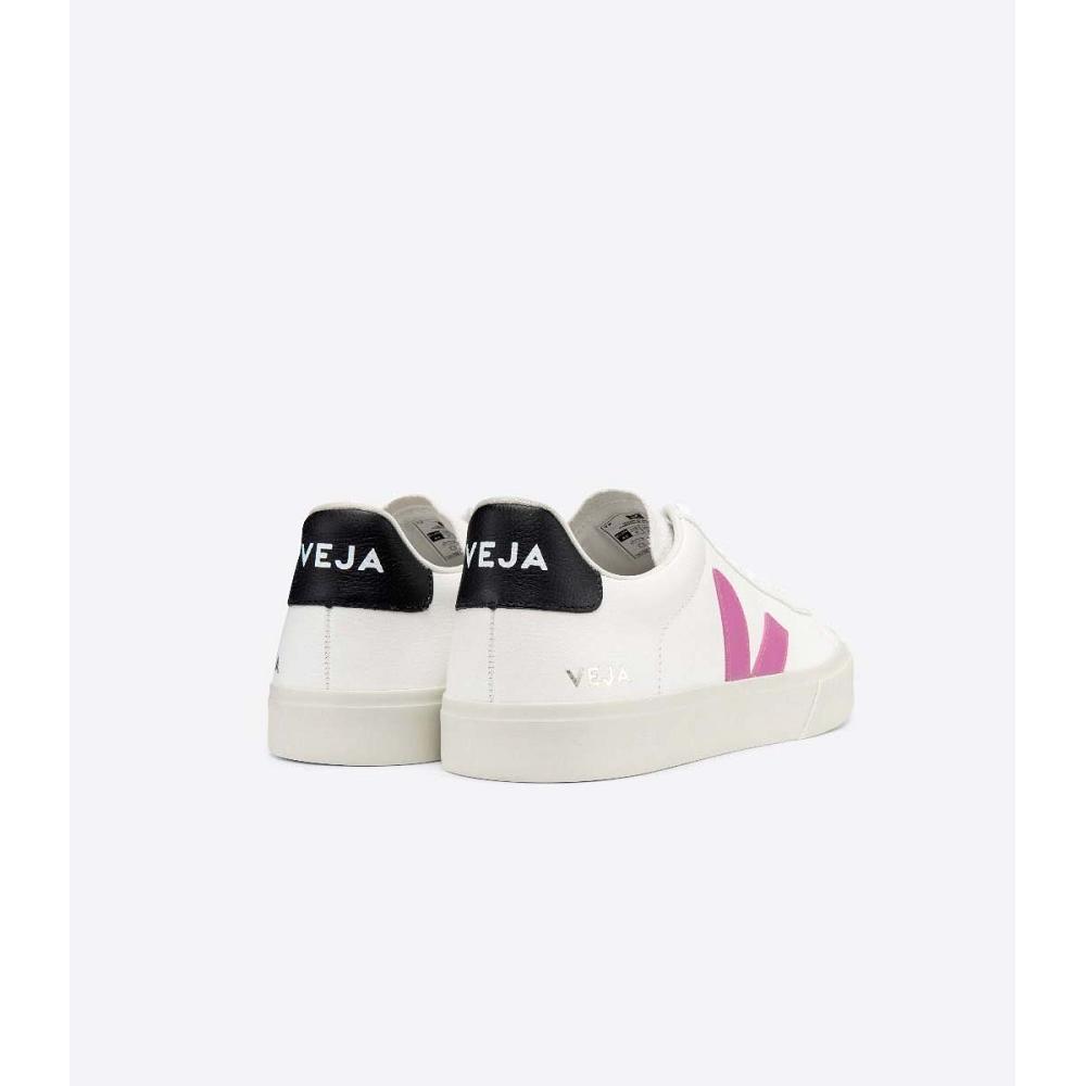 White/Purple Women's Veja CAMPO CHROMEFREE Low Tops Sneakers | AU 597FDN